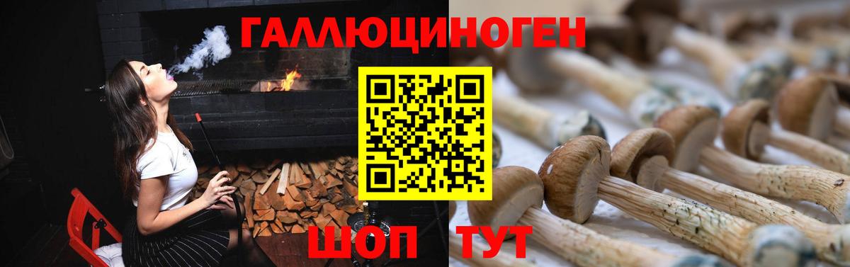 Галлюциногенные грибы Psilocybe  Вход с VPN  Галлюциногенные грибы Cubensis  Миасс 
